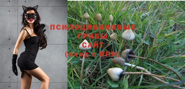 каннабис Киреевск