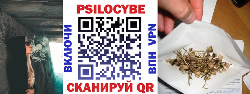 Псилоцибиновые грибы GOLDEN TEACHER даркнет сайт Черноголовка